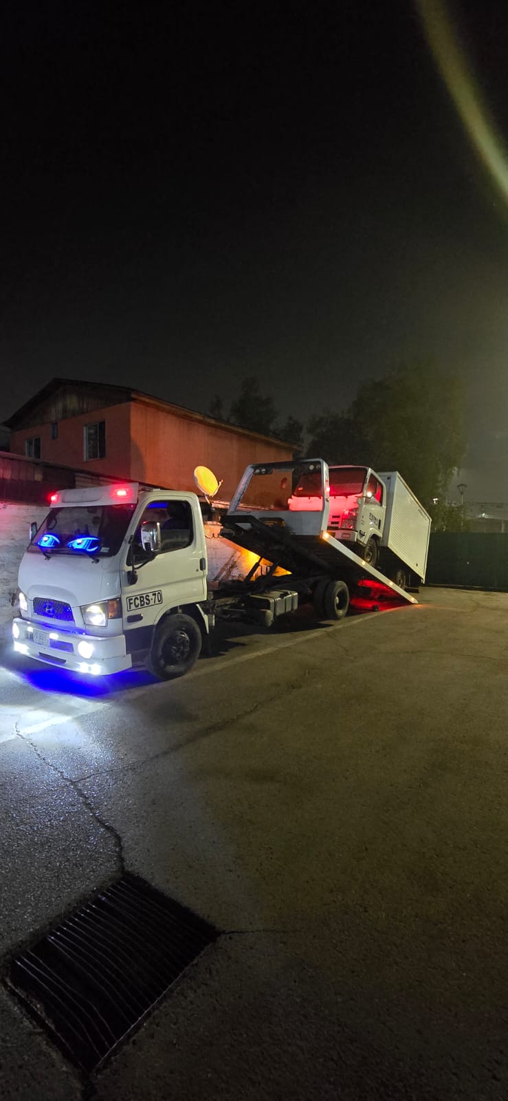 Servicio profesional